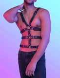 Full Chest Leather Harness