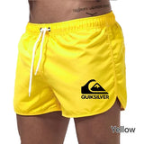 Quicksilver Shorts